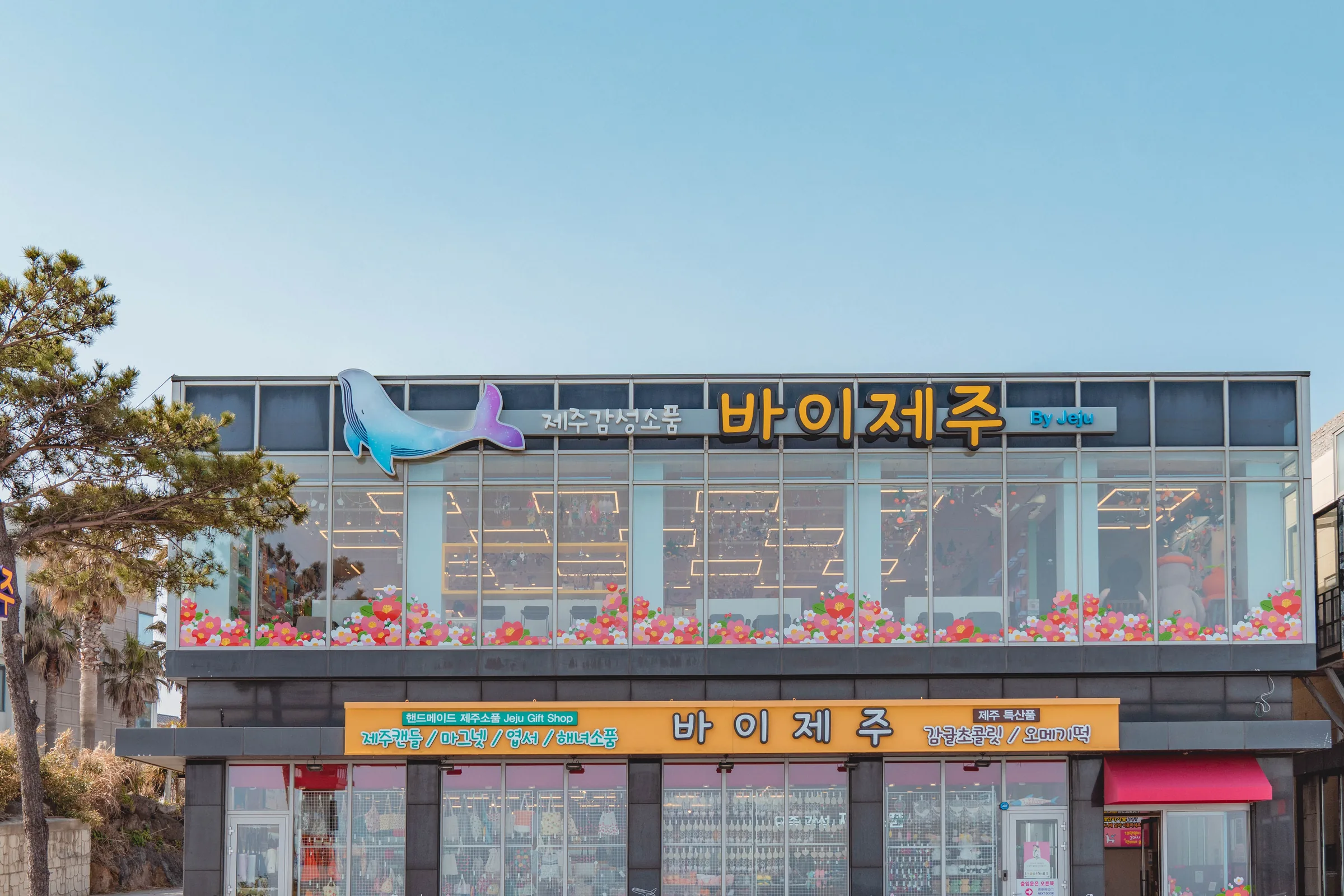 야자수와 소나무 사이로 보이는 제주시 서해안로 바이제주 매장 전경